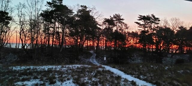 Ferienwohnung in Binz (Ostseebad) OT Prora - FeWo Treibgut in PRORA - 8.12 - Bild 22