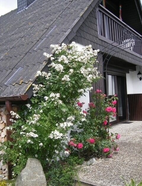 Ferienhaus in S&uuml;ssau - Ferienhaus "Good Times" - Bild 20