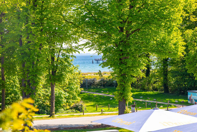 Ferienwohnung in Boltenhagen - SV Uns H&uuml;sung Whg. 12 - Bild 20