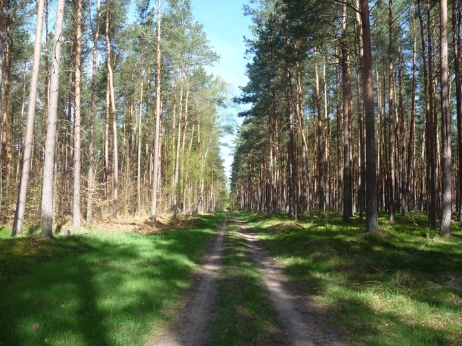 Ferienhaus in R&ouml;vershagen - Ferienhaus Piratenburg R&ouml;vershagen - Bild 22