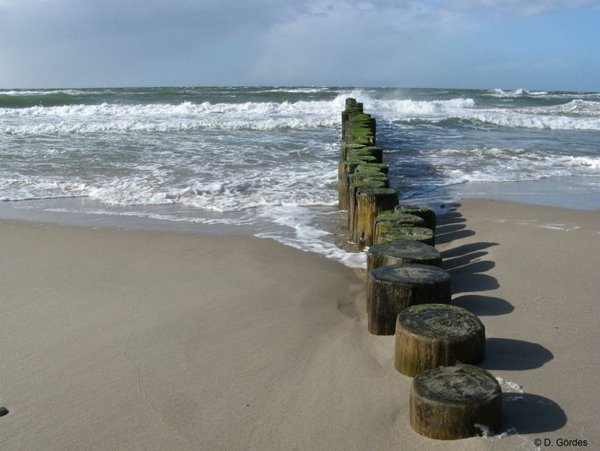 Ferienwohnung in Rostock - Ferienwohung Ostseewald - Bild 18