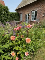 Ferienwohnung in Bad Kleinen - Kutscherremise Gut Niendorf - ABC592 - nur Ferieng&auml;ste! - Bild 23