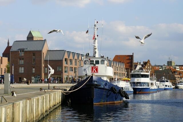 Ferienwohnung in Wismar - Gelbe Katze - ABC600 - nur Ferieng&auml;ste! - Bild 19