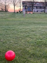 Ferienwohnung in Hohen Wieschendorf - RuheOase No. 12 - Aurora Vista - ABC539 - Bild 21