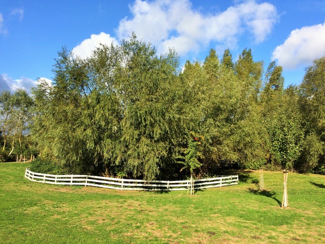 Ferienwohnung in Gollwitz - Spatzennest - Au&szlig;enanlage