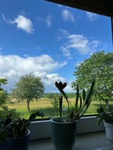 Ferienwohnung in Ostseebad Sch&ouml;nhagen - Haus mit Herz - Ferienwohnung 1 - Bild 2