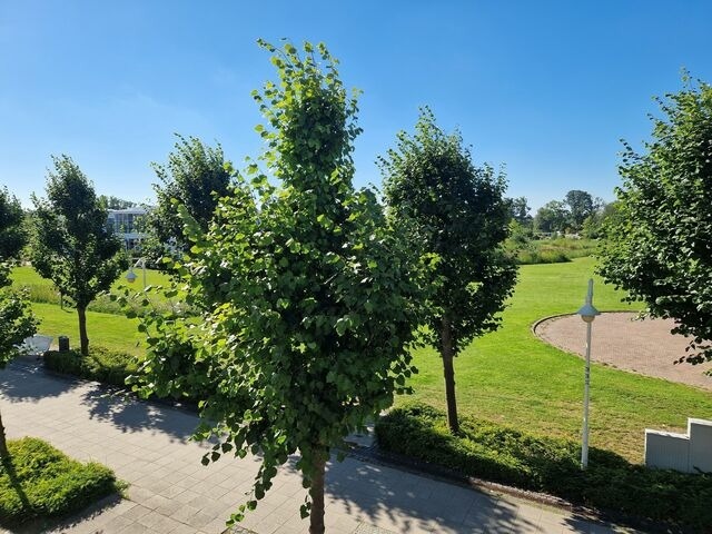 Ferienwohnung in Sellin - Fewo 253, Seepark Sellin - Bild 9