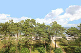Ferienwohnung in Binz - Villa Strandidyll, Whg. 14 - Bild 1