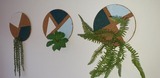 Ferienhaus in Zierow - Ferienhaus "Trojan" - Bild 9