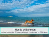 Ferienwohnung in Zinnowitz - Usedom Apartmenthaus Fewo 1 - Bild 10