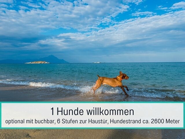 Ferienwohnung in Zinnowitz - Usedom Apartmenthaus Fewo 1 - Bild 10